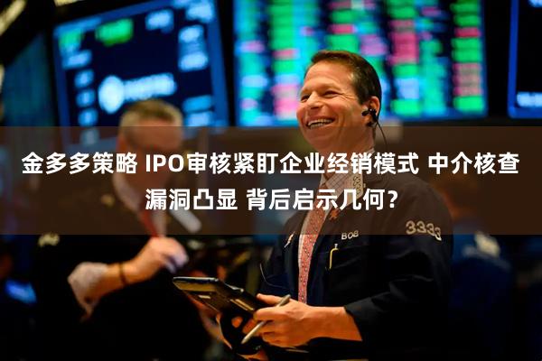 金多多策略 IPO审核紧盯企业经销模式 中介核查漏洞凸显 背后启示几何？