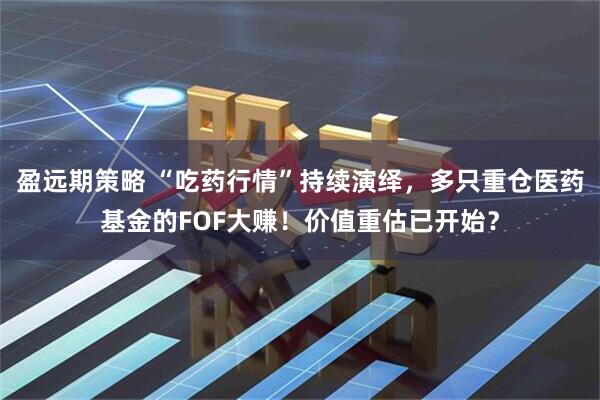 盈远期策略 “吃药行情”持续演绎，多只重仓医药基金的FOF大赚！价值重估已开始？