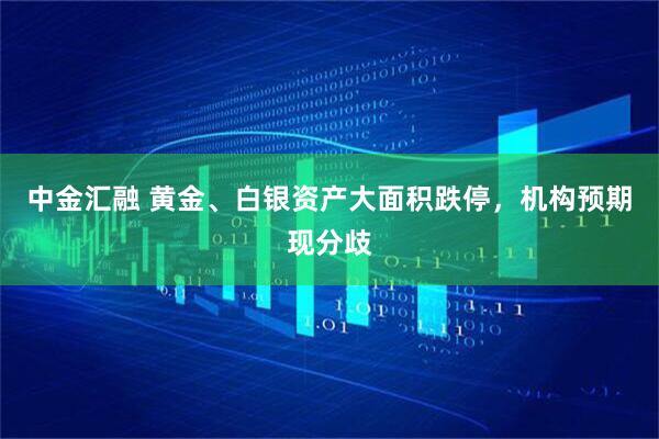 中金汇融 黄金、白银资产大面积跌停，机构预期现分歧
