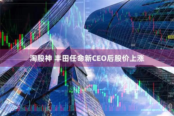 淘股神 丰田任命新CEO后股价上涨