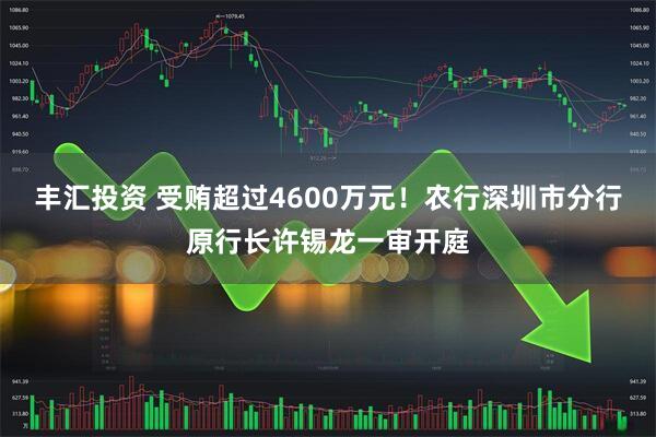 丰汇投资 受贿超过4600万元！农行深圳市分行原行长许锡龙一审开庭